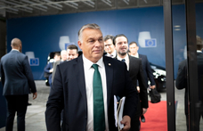 Az Európa Tanács szerint sérti az emberi jogokat az átláthatóságinak nevezett törvény