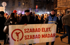 Abszurd színjáték a Kolibri ügyében: a minisztérium azzal vádolta a gyerekszínházat, hogy Brüsszelnek dolgozik – videó