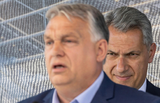 Papp Réka Kinga: Mi történne, ha Orbán átadná a stafétát, és elvonulna a zebráit vakargatni?