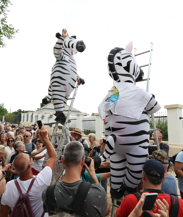 Szafari Hatvanpusztán: Belestünk az Orbán-farmra – videó