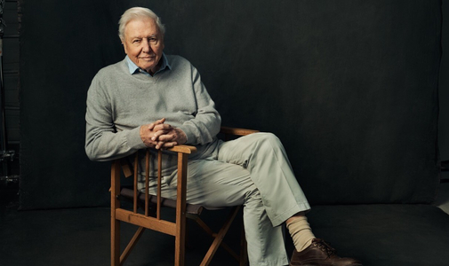 Sir David Attenborough 99 évesen sem adja fel, hogy megmentse a bolygónkat
