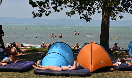 ¿Por qué es bueno secarse bajo marquesinas de musgo a una temperatura de 40 grados con olor a brezo?  - Aquí están los 12 momentos del verano.