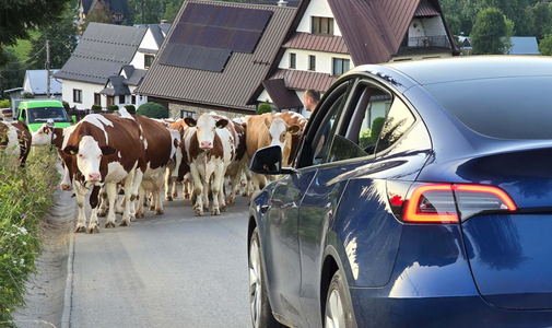 ¿Te vas de vacaciones con un coche eléctrico? Recorrimos 1.500 kilómetros en un Tesla por los Montes Tatras