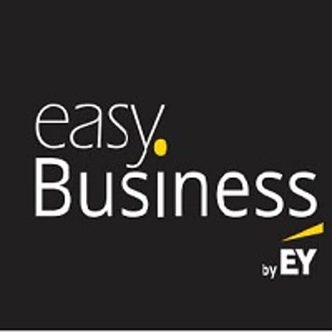 Ernst&Young Tanácsadó Kft.