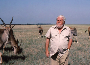 Az iskolázatlan, alkoholista zseni, aki a fél világgal megszerettette az állatokat – száz éve született Gerald Durrell