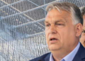 Papp Réka Kinga: Mi történne, ha Orbán átadná a stafétát, és elvonulna a zebráit vakargatni?