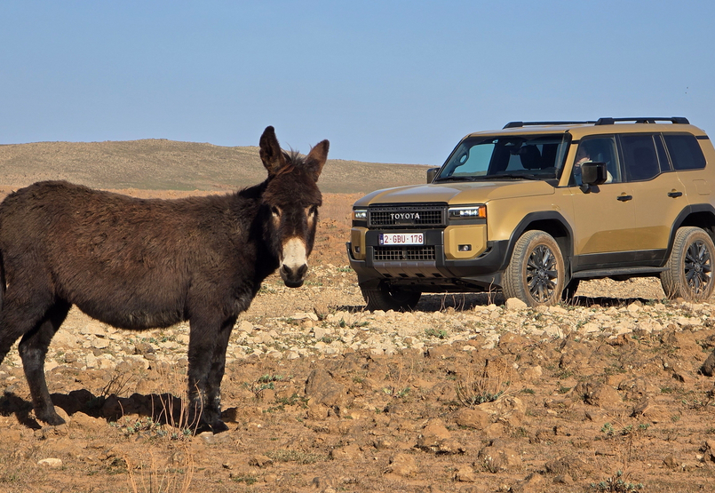 Ide az összes kátyúval! Afrikában kínoztuk meg a vadonatúj Toyota Land Cruisert