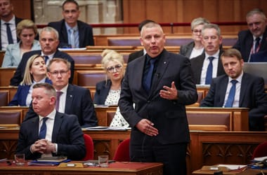 Ruszin-Szendi Romulusz: Visszavehetik azokat a katonákat, akiket a fiatalításra hivatkozva küldtek el