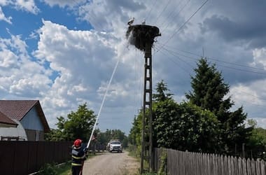 Kigyulladt egy villanyoszlop, a gólyák az utolsó pillanatig védték a fészküket