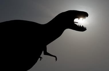Rákot találtak egy dinoszaurusz csontjaiban, az emberiséget is segítheti a felfedezés