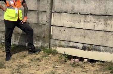 Ketten is a kerítés alatt próbálták bekaparni magukat a Hungaroringre – videó