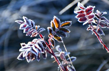 Hajnalban a Nyírségben fagyott, -3 fokot mértek