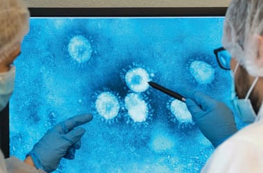 Mire képes a chikungunya vírus, ami épp járványt okoz Kínában? Jön az újabb világjárvány?