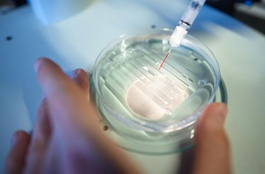 Ráeresztették az AI-t az enzimekre, ami ezután történt, az történelmi lehet