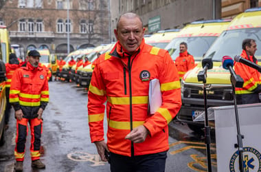 Győrfi Pál is ügyes üzletember: cége bevételének kétharmadából nyereség lett