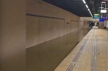 Elöntött aluljárókat és ezer kidőlt fát hagyott maga után az ítéletidő Bukarestben – videó