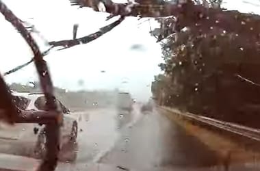 Videón a pillanat, amikor a hétfői viharban egy hatalmas fa zuhant egy autóra az M7-esen