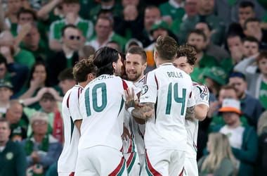 Írország–Magyarország vb-selejtező – ÉLŐ