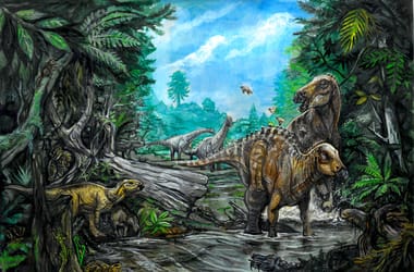 Elképesztő dinoszaurusz-lelőhelyre bukkantak Erdélyben, egymáson feküdtek a csontok