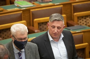 Veszprém megyében kapott tisztséget a nőverési ügye miatt lemondott volt fideszes EP-képviselő