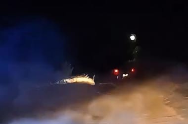 Videón a hajdúhadházi üldözés: padlógázzal menekült a rendőrök elől egy autós, árokba csapódott, majd a bozótban bújt el