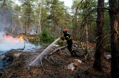Két embert gyanúsítanak azzal, hogy ők okozták a pusztító tüzet a Fontainebleau-erdőben