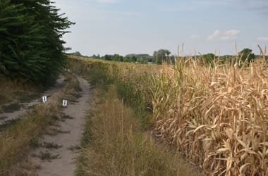 Meggyilkoltak egy csecsemőt Nagydorogon