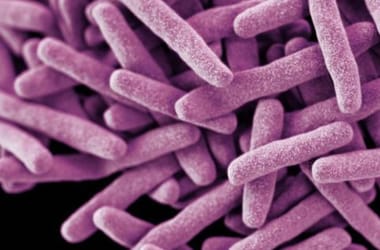 49 millió ember vizsgálatából kiderült valami aggasztó a rák és egy baktérium kapcsolatáról