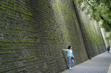 178 óra alatt 5 millió mérés eredménye: komolyabban kellene vennünk a mohát