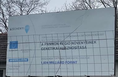 Kutatási eredmény nélkül számolt el 1,6 milliárd forint támogatást egy növénygenetikai kutatóintézet