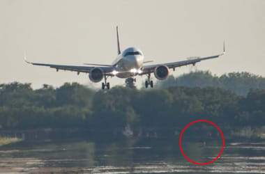 Róka sétált át a Wizz Air landoló ciprusi járata előtt a debreceni repülőtéren