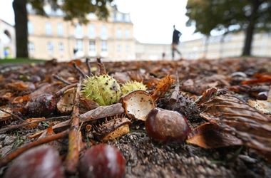 Ősziesen viselkedik az ősz október utolsó hetében