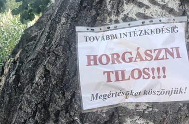 A hőség miatt megtiltották a horgászatot a Dömsödi Holt-Dunán