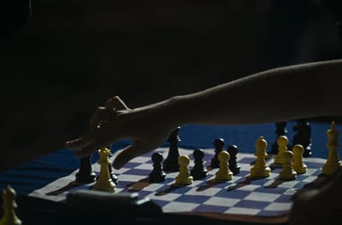 Rejtett potenciál: Hogyan termesszünk rózsát aszfaltrepedésekben?