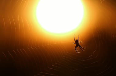 Le akarta égetni a pókhálót, felgyújtotta a balatoni nyaralóját