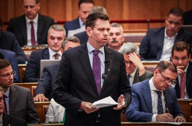 Török Gábor: Ha Magyar Péter kalapács, Vitézy Dávid a csavarhúzó