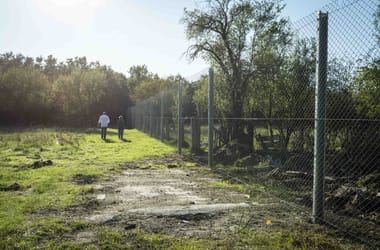 Magyar Péter: Nyilvánosságra fogjuk hozni a Vitnyédre tervez