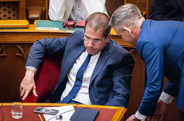 Ruff Bálint rendkívüli ülést kezdeményezett