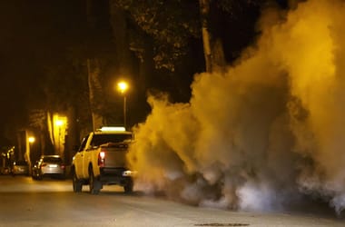 Magyar kutatók ránéztek a kémiai szúnyogirtásra, amit találtak, az nagyon aggasztó