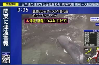 Élőben közvetítette a japán tévé, hogy bálnákat mos partra a cunami – videó