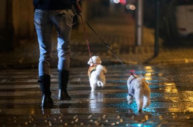 Öblítsék le vízzel a kutyájuk vizeletét! - kérik a gazdákat egy bécsi kerületben