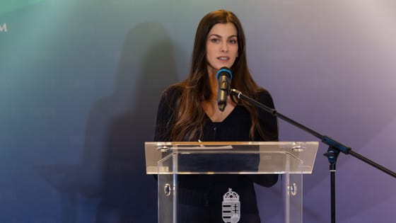 A Fidesz visszalépett főpolgármester-jelöltjével állapodott meg a kormány arról, hogy mi legyen a lomtalanítással