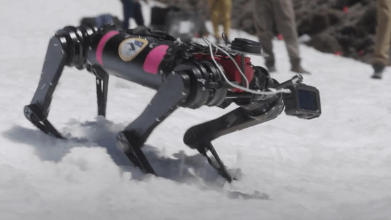 Felvittek egy gleccser tetejére egy robotkutyát, így képezik ki – videó