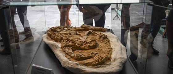 12 millió éves krokodil maradványait találták meg egy perui sivatagban