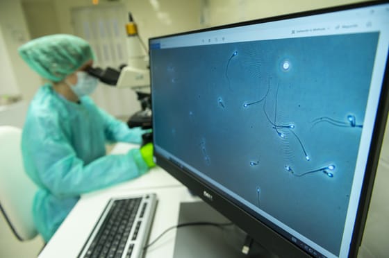 Ritka rákkeltő gént hordozott egy spermadonor – 10 gyermeknek már tovább is adta a betegséget
