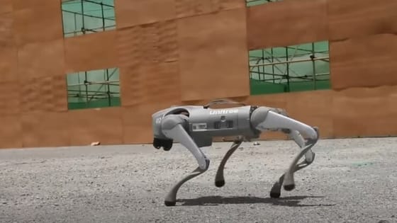 Ez nem a Black Mirror: fegyverrel felszerelt robotkutyákkal hadgyakorlatozott Kína