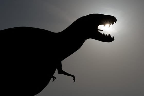 Találtak egy 72 millió éves dinoszauruszkoponyát, 272 kilogrammot nyom