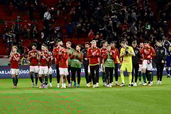 Szalai Ádám drámai rosszulléte után Hollandia simán megverte a magyar válogatottat