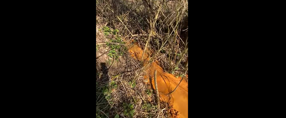 Rákkeltő anyag kerülhetett a Salgó-patakba egy akku-hulladékot kezelő cég telephelyéről