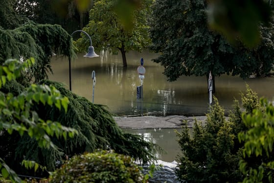 Belefulladt egy kutya az áradó Dunába Óbudánál